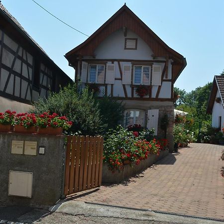 Location Alice Villa Ottrott Rum bild