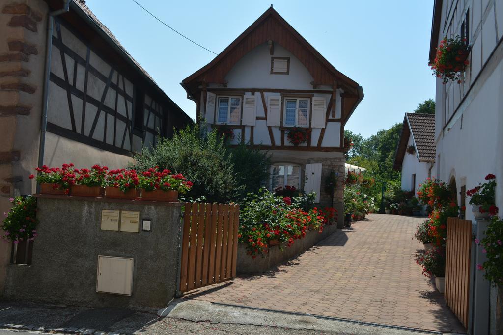 Location Alice Villa Ottrott Rum bild
