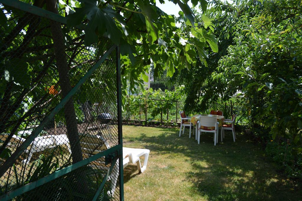 Location Alice Villa Ottrott Rum bild