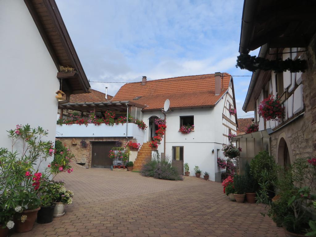 Location Alice Villa Ottrott Exteriör bild
