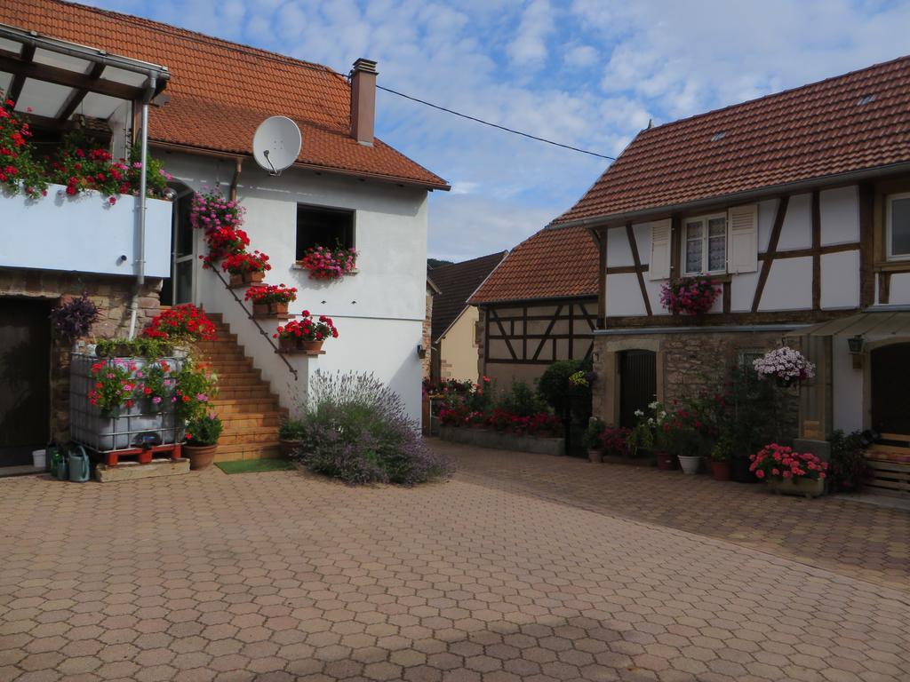 Location Alice Villa Ottrott Exteriör bild