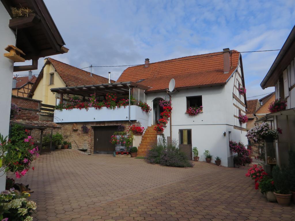 Location Alice Villa Ottrott Exteriör bild
