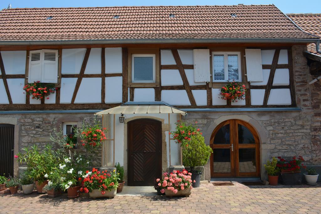 Location Alice Villa Ottrott Exteriör bild